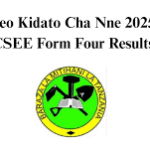 NECTA: Form Four Results 2025