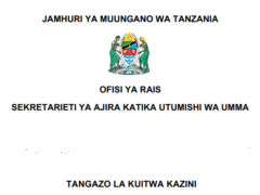 UTUMISHI Job Placements 2026