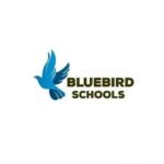 Primary Mathematics & ICT teacher at Bluebird Schools
