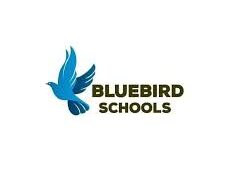 Primary Mathematics & ICT teacher at Bluebird Schools