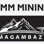 Senior Surveyor at PMM Mining Company Limited