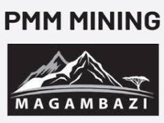 Senior Surveyor at PMM Mining Company Limited